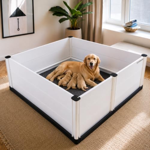 whelping box for dogs & puppies – premium shown in use