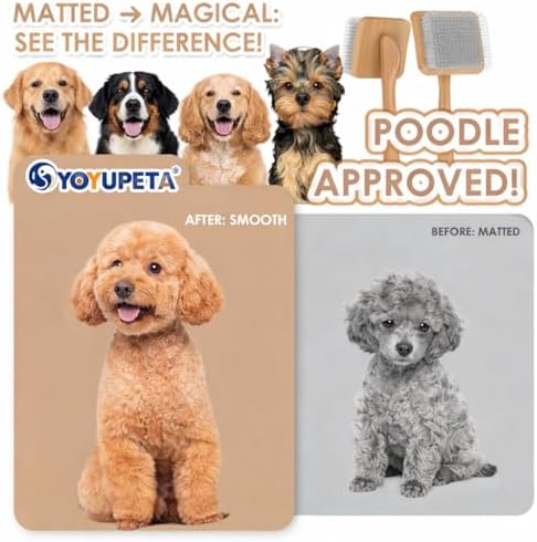 3-piece dog slicker brush & dematting rake set shown in use
