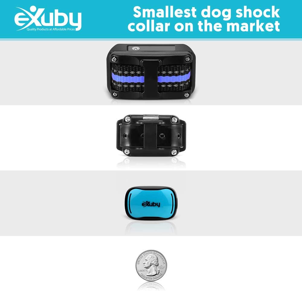 exuby - tiny shock collar for small dogs, close-up detail