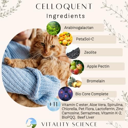 vitality science advanced immune restoration supplements for cats, close-up detail