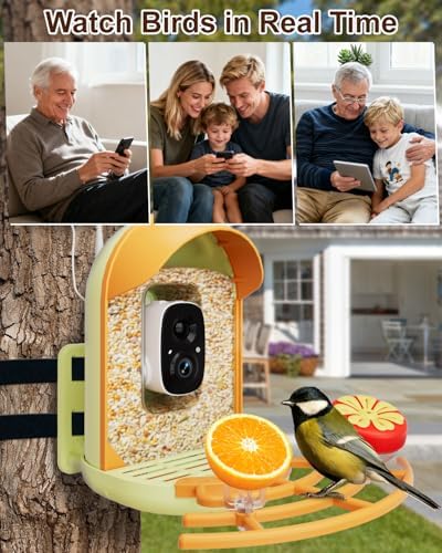 bird feeder with camera, 2k hd, ai recognition showing dimensions