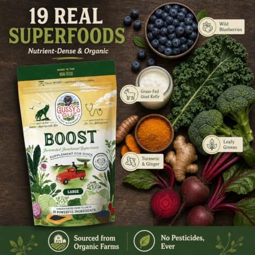 boost fermented prebiotic & probiotics for dogs gut shown in use
