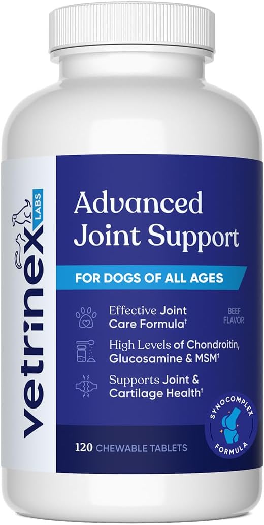 joint support supplement for large dogs - hip, main product view
