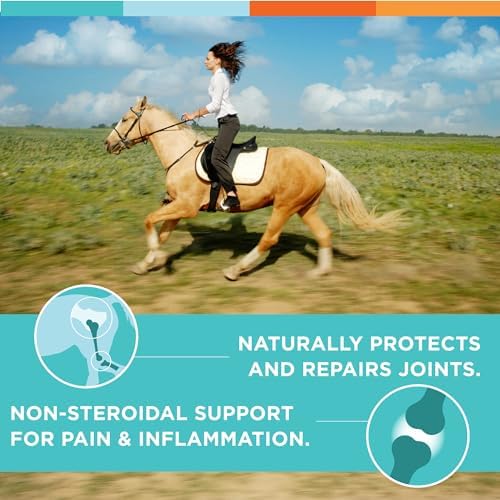 nusentia rjx for horses - triple strength glucosamine, close-up detail