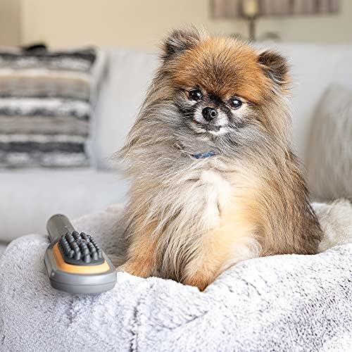 paw wave buzz therapeutic brush vibration pet massager showing dimensions