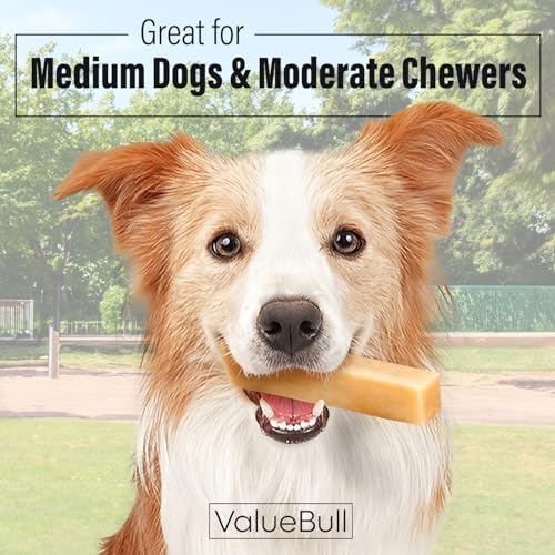 valuebull himalayan yak cheese dog chews, medium, 6 shown in use