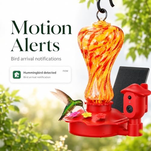 smart glass hummingbird feeder with camera, 2k hd showing dimensions