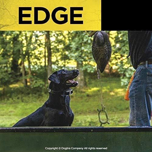 dogtra edge additional receiver long range high-output 1-mile shown in use