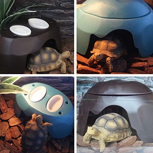 omem reptiles house with ceramic sink terrarium hide, close-up detail