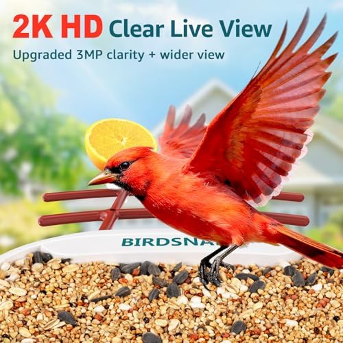 birdsnap® tuc bird feeder with camera solar powered shown in use