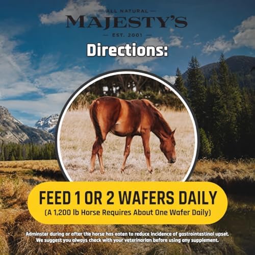 majesty's flex wafers - superior horse/equine joint support showing dimensions