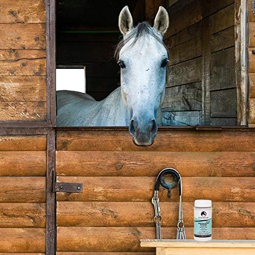 coat defense daily preventative powder & rain rot showing dimensions