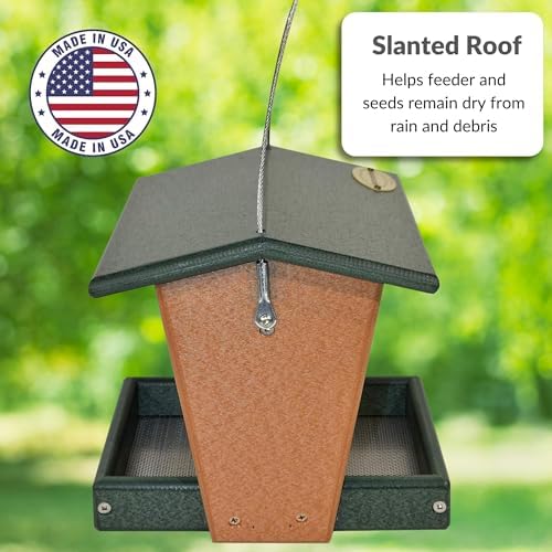 dutchcrafters plastic hanging hopper bird feeder, small bird, close-up detail