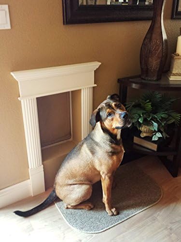 ranger by freedom pet pass insulated dog door on a desk or shelf