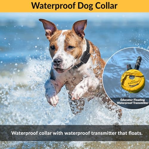 e-collar educator et-300-tv remote dog training collar, yellow showing dimensions