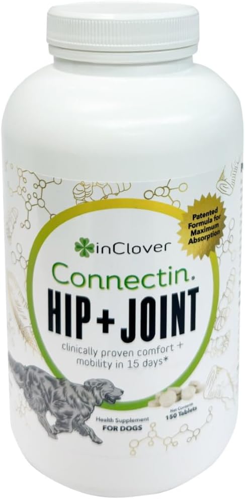 in clover connectin hip & joint supplement for, main product view