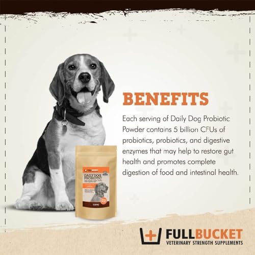 fullbucket daily dog probiotic 150 servings - support, close-up detail