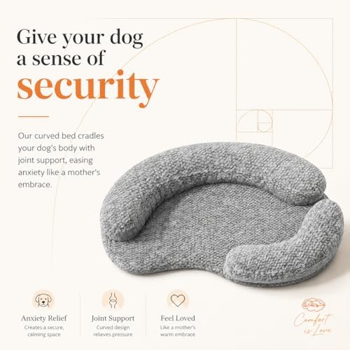 calming orthopedic memory foam dog bed, medium, beige shown in use