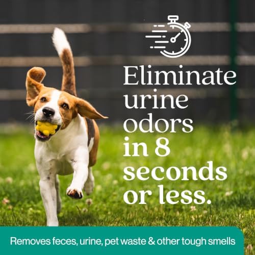eco strong outdoor odor eliminator outside dog urine, close-up detail