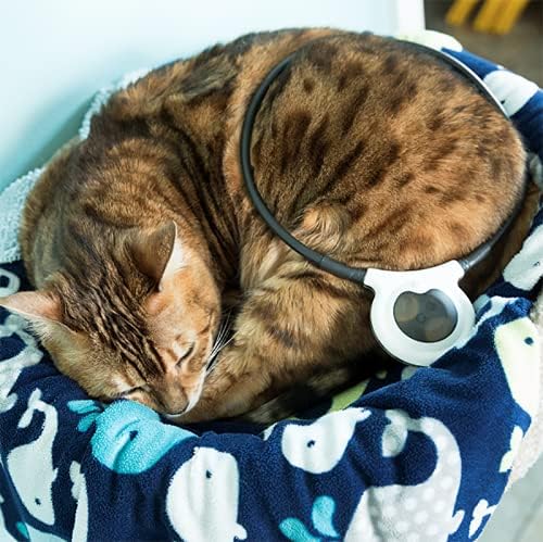 assisi loop 2.0 manual tpemf device for dogs showing dimensions