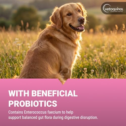 vetoquinol pro-pectalin chewable probiotic for pets, 250 count, side view