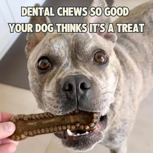 jiminy's dental chews for dogs,plaque & tartar control, close-up detail