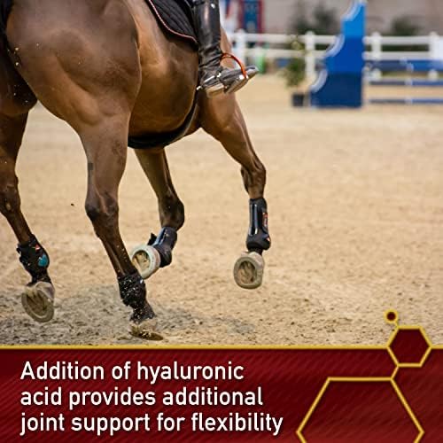 vita flex pro equinyl formula with hyaluronic acid, side view