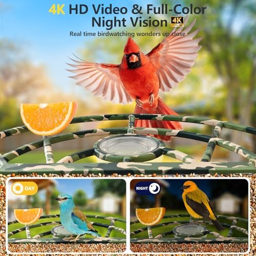 smart bird feeder camera, 4k solar, ai id, close-up detail