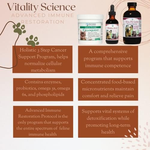 vitality science advanced immune restoration supplements for cats shown in use