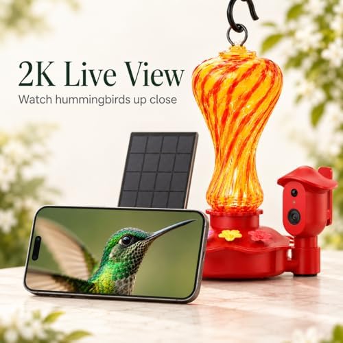 smart glass hummingbird feeder with camera, 2k hd shown in use