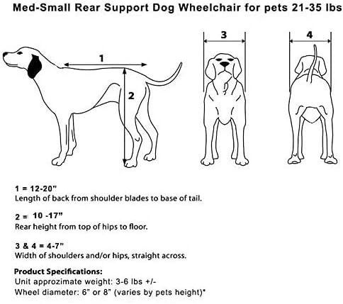 dog wheelchair back legs, adjustable, custom made in shown in use