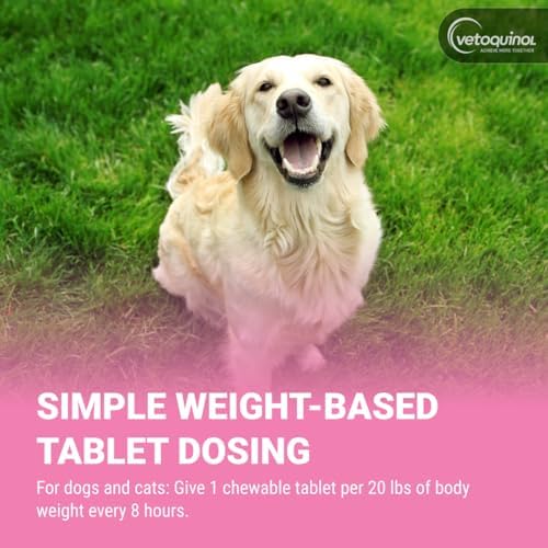 vetoquinol pro-pectalin chewable probiotic for pets, 250 count showing dimensions