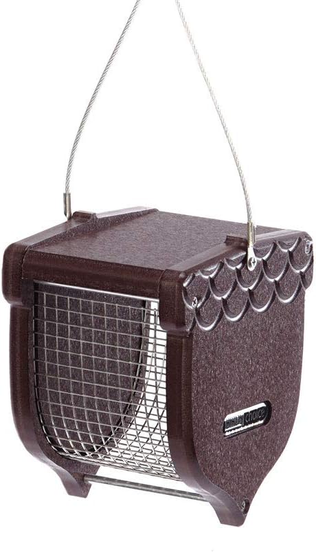 birds choice acorn-shaped peanut bird feeder | 1 shown in use