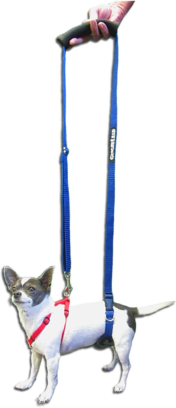 gingerlead® dog back support ivdd sling harness, x-small, main product view