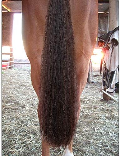 horse tail extensions with braided horsehair loop, blunt, side view