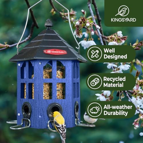 kingsyard hopper bird feeders for outdoors hanging, squirrel-proof shown in use