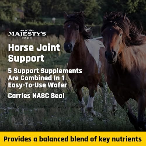 majesty's flex ha wafers - superior performance horse/equine showing dimensions