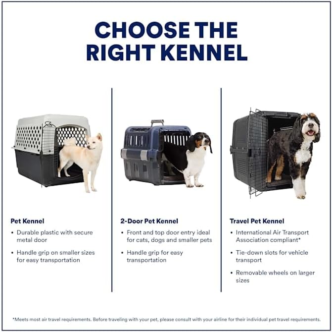 everyyay by petco 2-door pet kennel xx-small 19.3", side view