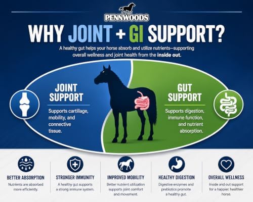 pennwoods horse joint supplement powder 5 lb showing dimensions
