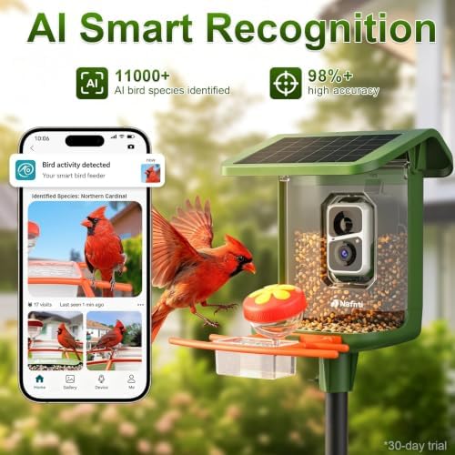 bird feeder with camera solar powered, 5ghz, 2k, close-up detail
