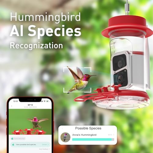 soliom hummingbird feeder with camera for outdoors, 2k, close-up detail
