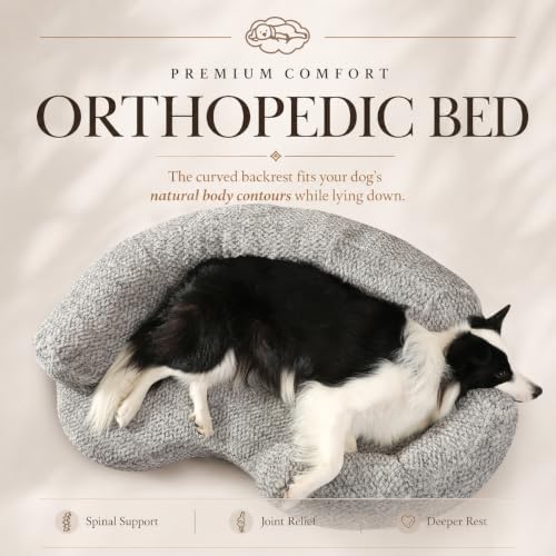 calming orthopedic memory foam dog bed, medium, beige, close-up detail
