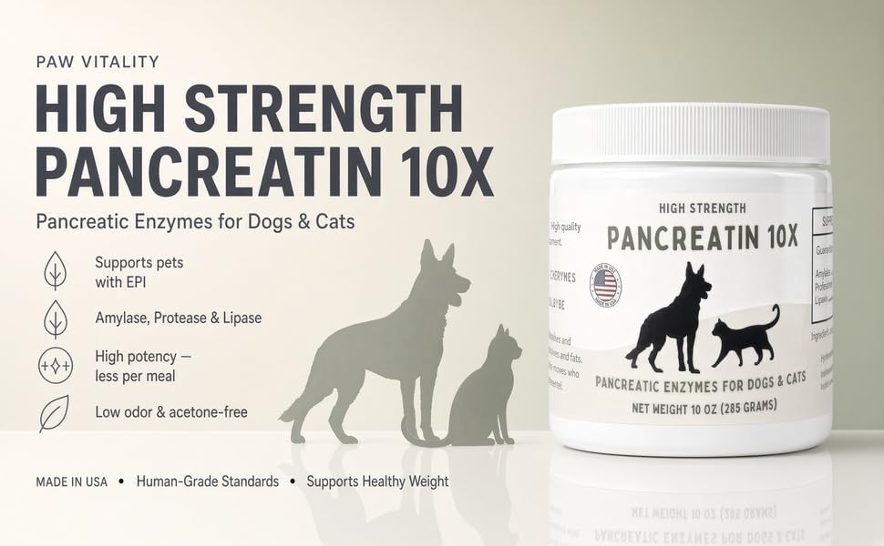 pancreatin 10x - pancreatic enzymes for dogs and, close-up detail