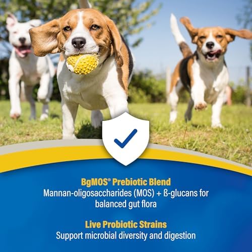 doc roy's gi synbiotics prebiotic & probiotic granules, side view