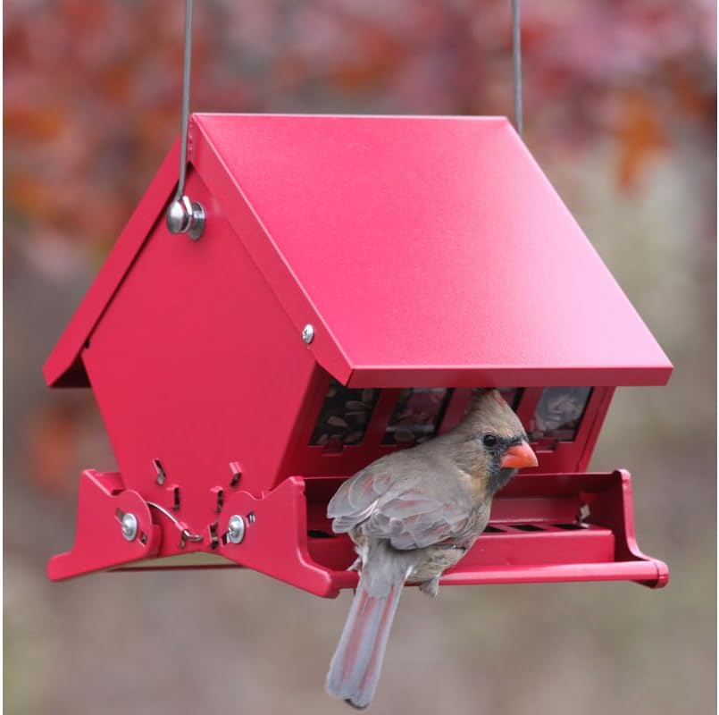 audubon "mini" absolute squirrel resistant bird feeder model shown in use