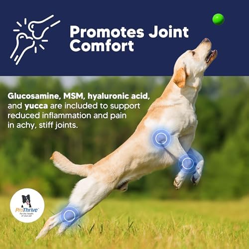 prothrive senior dog digestive & joint supplement, side view