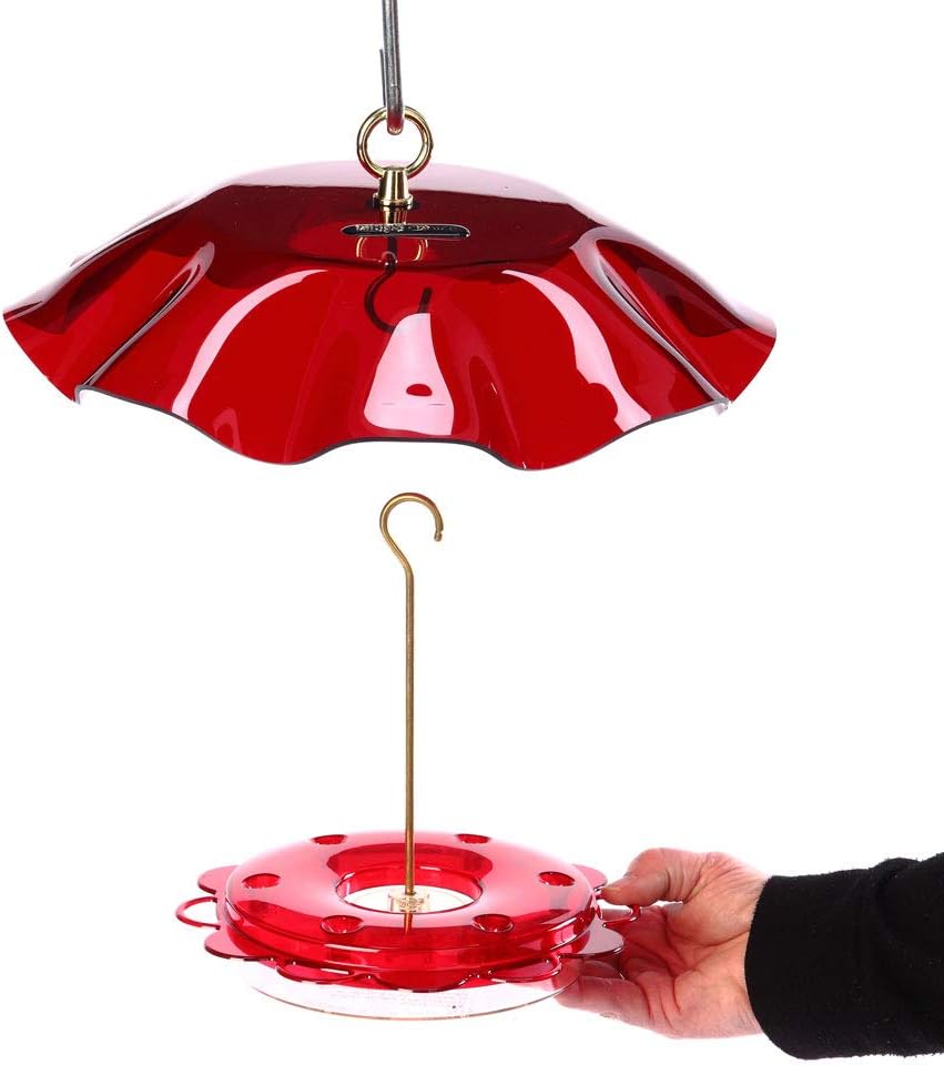 birds choice hummerfest hummingbird feeder with weatherguard | shown in use