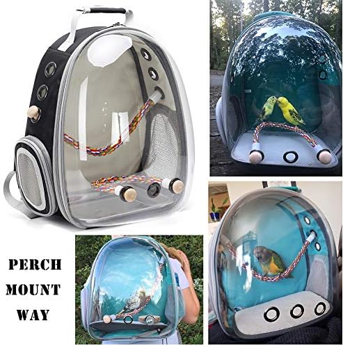 bird traval carrier cage, clear space capsule astronaut, side view