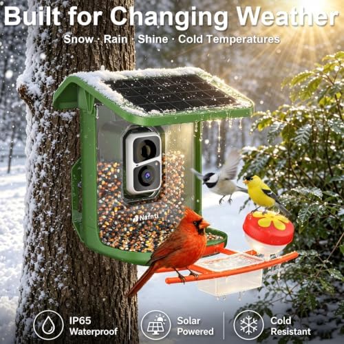 bird feeder with camera solar powered, 5ghz, 2k showing dimensions