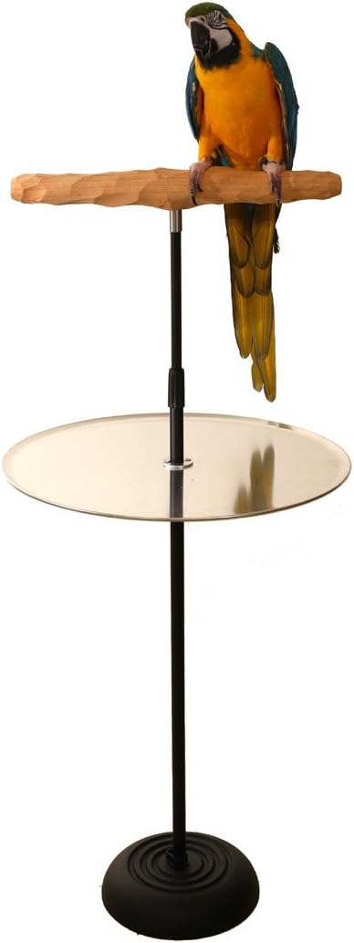 parrot training perch stand with potty tray (t, main product view